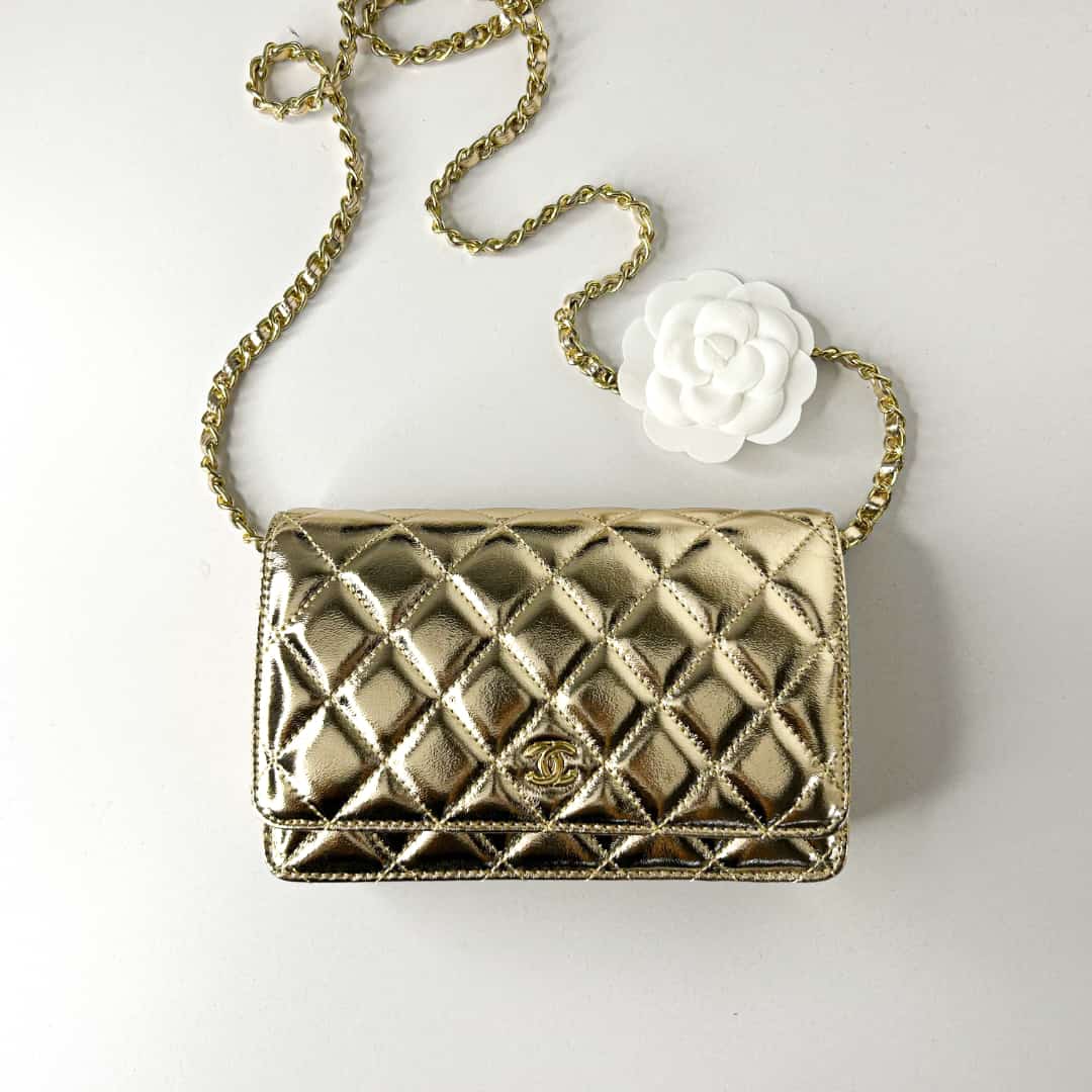 Premium Metallic Wallet On Chain - FASHION MYST 